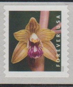 5441, Coil, Single, Wild Orchids- Hexalectris Spicata, MNH,  Forever.