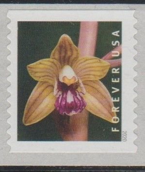 5441, Coil, Single, Wild Orchids- Hexalectris Spicata, MNH,  Forever.