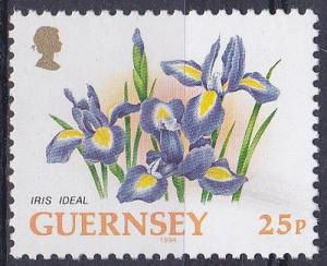 Guernsey 1992 SG576 HM