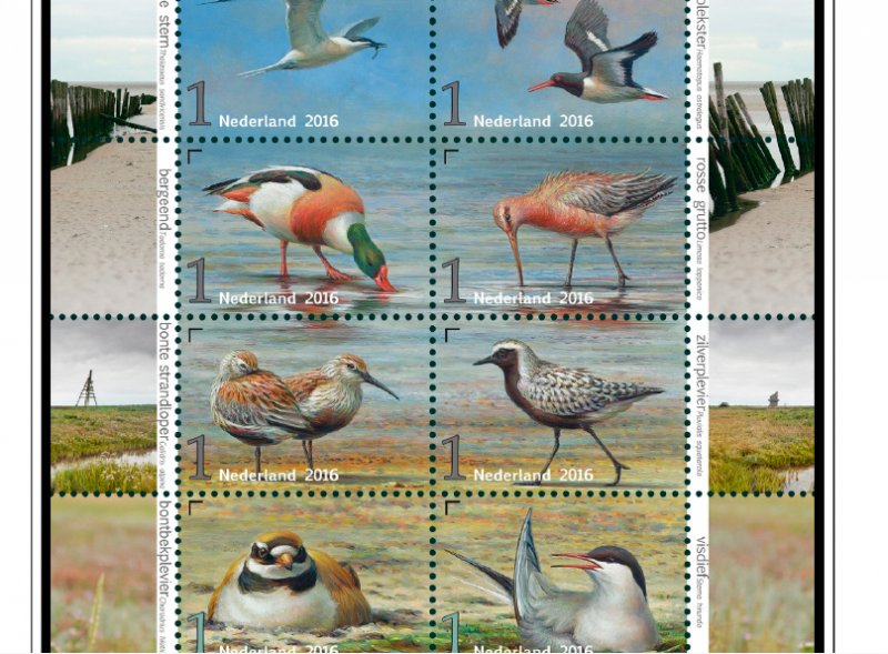 COLOR PRINTED NETHERLANDS 2011-2020 STAMP ALBUM PAGES (159 illustrated pages)