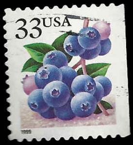 # 3294 USED BLUEBERRIES