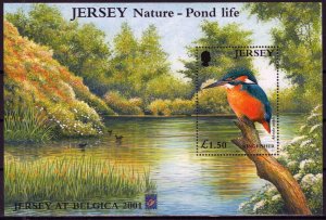 ZAYIX Jersey 995a MNH Belgica Emblem Birds Nature Pond Life 0920223SM25M