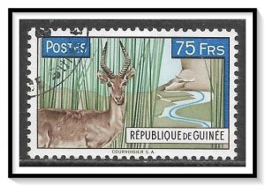 Guinea #219 Waterbuck CTOH