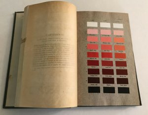 1912 Ridgway Color Standards and Nomenclature book with color plates [RF.85]