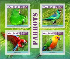 Stamps. Birds, Parrots 2020 year, 1+1 sheets MNH ** perforated