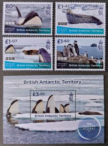 YEAR 2023 - BRITISH ANTARCTIC TERRITORY  - FROZEN PLANET Set & Shettlet   MNH **