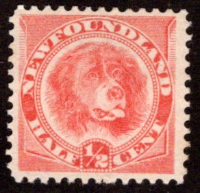 39a, NSSC, Newfoundland, 1/2c, orange red, Newfoundland Dog, MNG, F