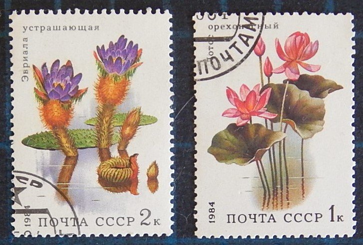 Flowers, (2512-Т)