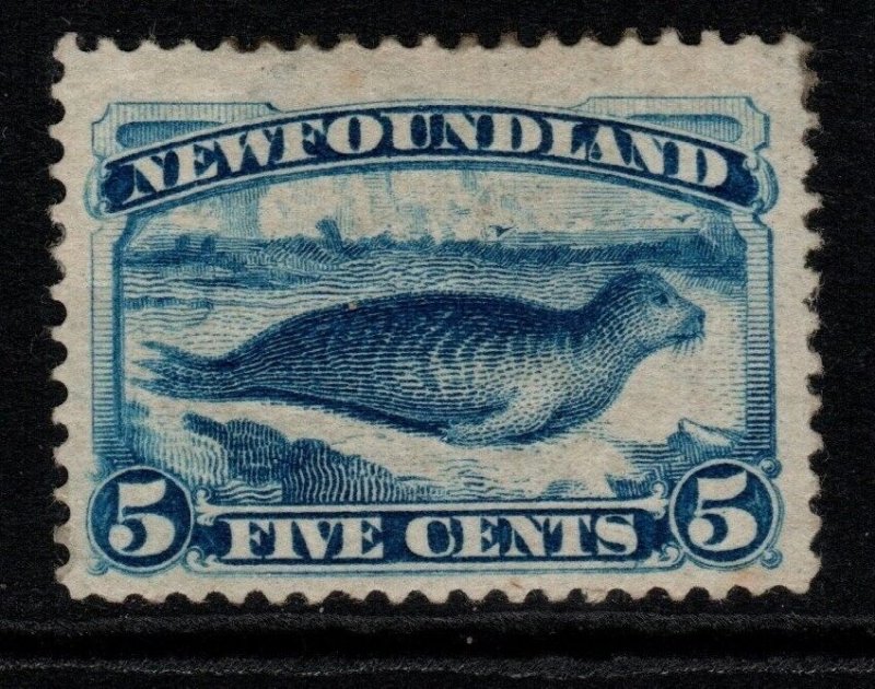 NEWFOUNDLAND SG59a 1894 5c BRIGHT BLUE MTD MINT