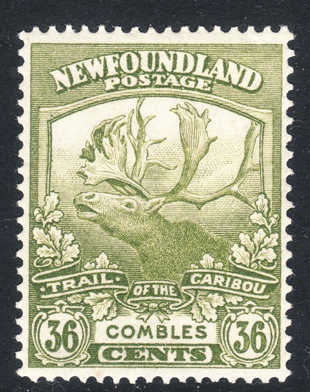 Sc# 126 Newfoundland Canada 1919  Caribou 36¢ MLMH CV $37.50 Stk #2