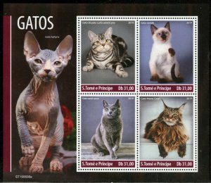 SAO TOME 2019 CATS  SHEET  MINT NEVER HINGED