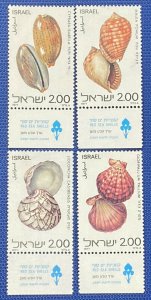 ZAYIX - 1977 - Israel - #678-681 - MH - Marine Life - Shells