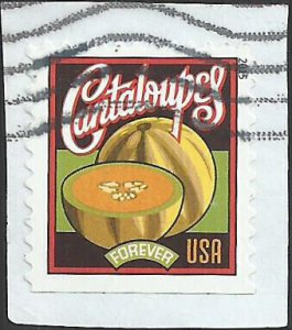 # 5006 Used Summer Harvest Cantaloupe