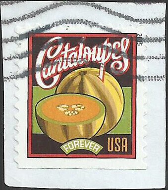 # 5006 Used Summer Harvest Cantaloupe