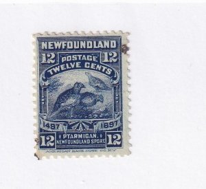 NEWFOUNDLAND # 69 VF-MNH 12cts WILLOW PTARMIGAN (Dots) CAT VALUE $80 KIMSS30