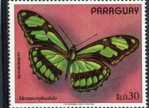 Paraguay 1973 BUTTERFLIES 1 value Perforated Mint (NH)