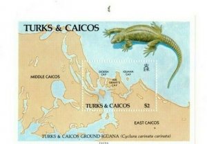 Turks and Caicos-1986- Wildlife Iguana - Souvenir Sheet-MNH(Scott#714)