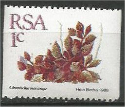 SOUTH AFRICA, 1988, MNH 1c, Definitive, Succulents, Coil Scott 754