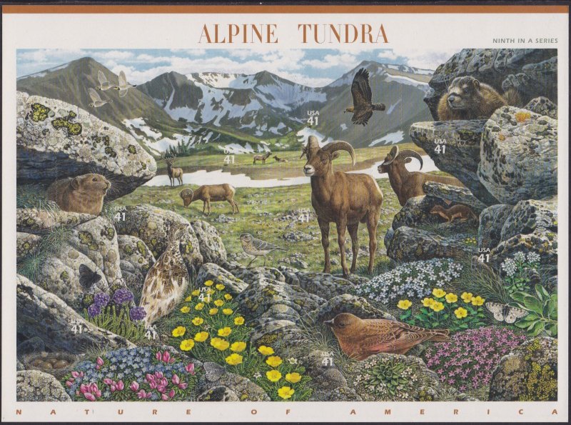 4198 Alpine Tundra MNH