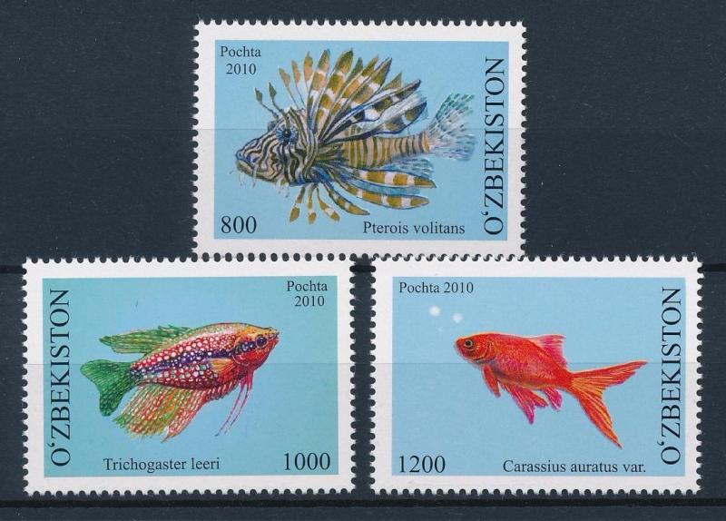 [40638] Uzbekistan 2010 Marine Life Fish MNH