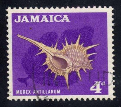 Jamaica #222 Murex antillarum shell, used (0.25)