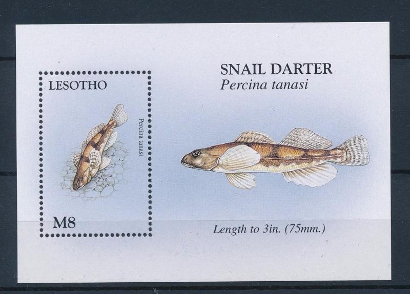 [36627] Lesotho 1998 Marine life Fish MNH Sheet