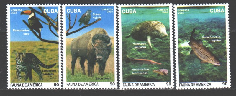 Cuba. 2016. 6078-81. fauna of America. MNH.