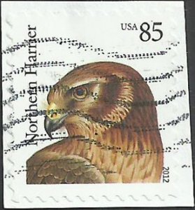 # 4612 USED NORTHERN HARRIER