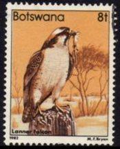 Botswana - 1982 Birds 8t Falcon Used SG 522