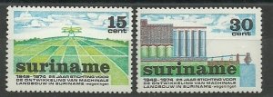 Suriname - 1974 - NVPH 623-24 - MNH - ZO175