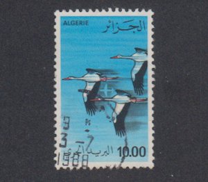 Algeria - 1979 - SC C19 - Used