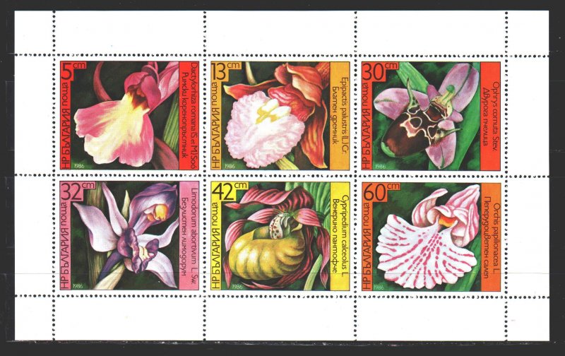 Bulgaria. 1986. Small sheet 3441-46. Orchids, flowers. MNH.