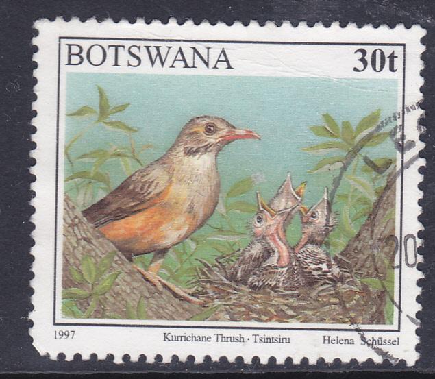 Botswana -1997 -Birds - Kurrichane Thrush - 30t -used 