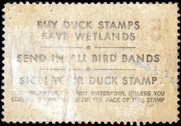 U.S. Federal Duck Stamp RW41 issued 1974. used, Crease