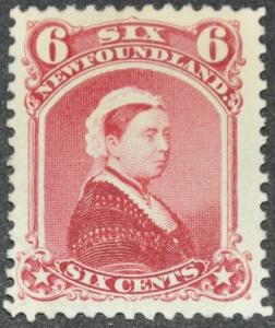 DYNAMITE Stamps: Newfoundland Scott #36  MINT