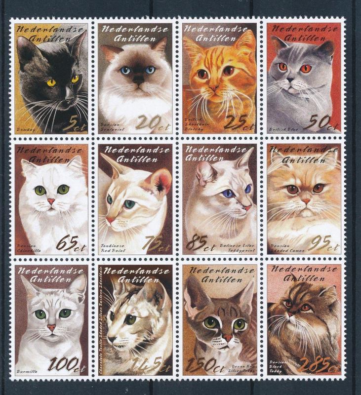 [NA1460] Netherlands Antilles Antillen 2003 Cats MNH # 1460-71