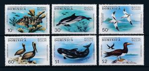 [48188] Dominica 1979 Marine life Fish Dolphins Whales Birds MNH