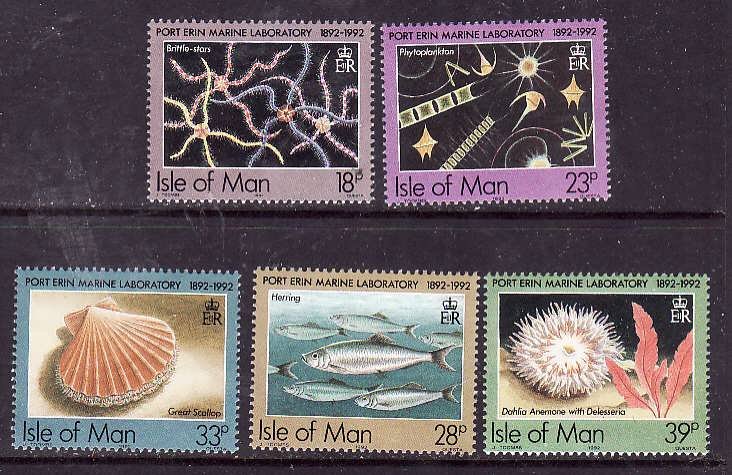 Isle of Man #509-513 MNH CV$4.30 Port Erin Star Scallop Herring Anemone