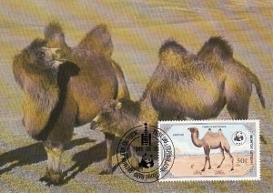 Mongolia 1985 Maxicard Sc #1445 50m Bactrian camel WWF