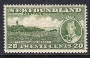 Newfoundland 240 MNH VF