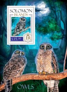 SOLOMON ISLANDS 2014 SHEET OWLS BIRDS slm14105b