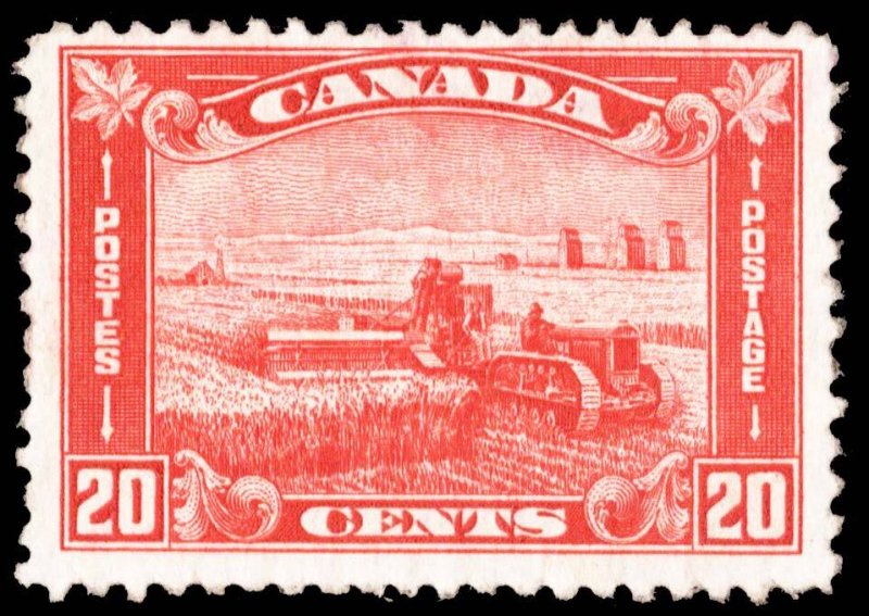 Canada Scott 175 Mint never hinged.