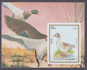 1972 Fujaira 1305/B131b Birds / Domestic goose 8,50 €