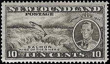 NEWFOUNDLAND   #237 MH (2)