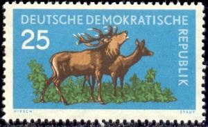 Red Deer, German Democratic Republic stamp SC#474 MNH