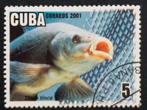 CUBA Sc# 4159 MARINE LIFE ocean fish aquaculture 5c   2001 used cto