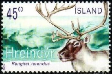 Reindeer, Rangifer Tarandus, Iceland stamp SC#999 MNH