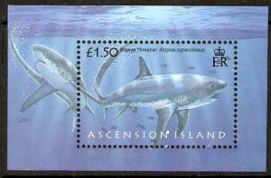 ASCENSION SGMS1003 2008 SHARKS MNH