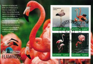 UGANDA 2014 - Flamingo birds/ minisheet