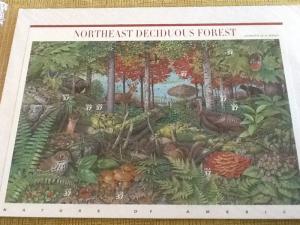 # 3899  Northeast Deciduous Forest